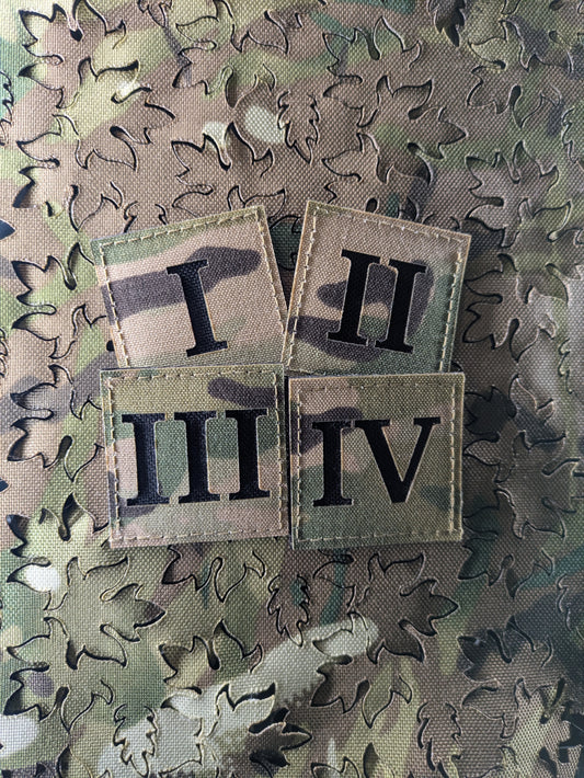 Ranger Battalion Patches